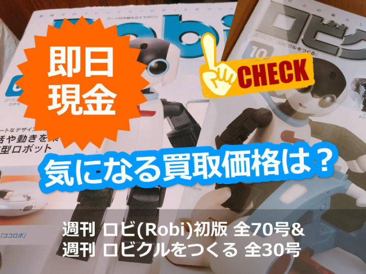 ロビ初版完成品　動作なし書籍や付属品はありません